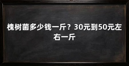 槐树菌多少钱一斤?30元到50元左右一斤