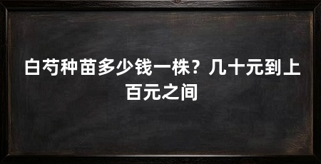 白芍种苗多少钱一株?几十元到上百元之间