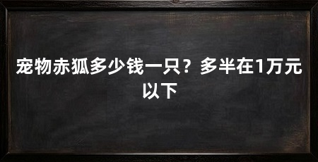 宠物赤狐多少钱一只？多半在1万元以下