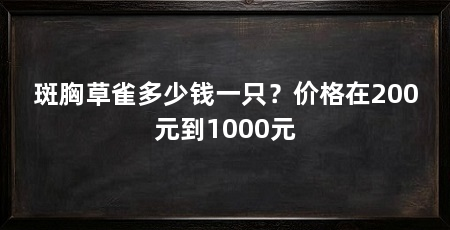 斑胸草雀多少钱一只？价格在200元到1000元