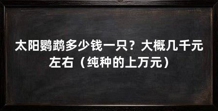 太阳鹦鹉多少钱一只？大概几千元左右（纯种的上万元）