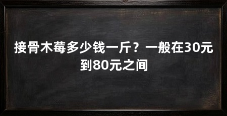 接骨木莓多少钱一斤？一般在30元到80元之间