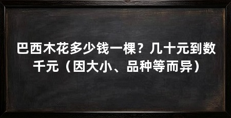 巴西木花多少钱一棵？几十元到数千元（因大小、品种等而异）