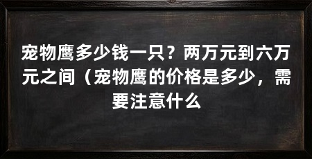 宠物鹰多少钱一只?两万元到六万元之间(宠物鹰的价格是多少,需要注意什么
