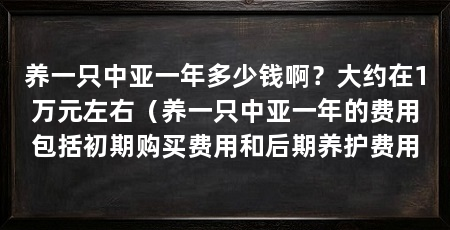 养一只中亚一年多少钱啊?大约在1万元左右(养一只中亚一年的费用包括初期购买费用和后期养护费用