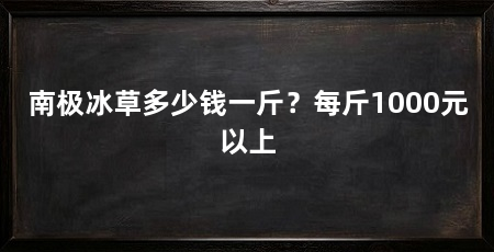 南极冰草多少钱一斤?每斤1000元以上