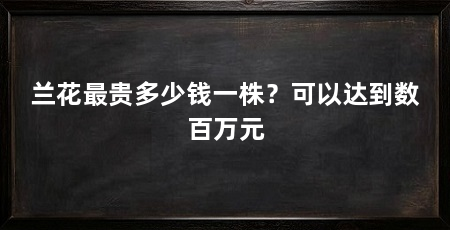 兰花最贵多少钱一株?可以达到数百万元