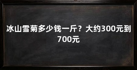 冰山雪菊多少钱一斤?大约300元到700元