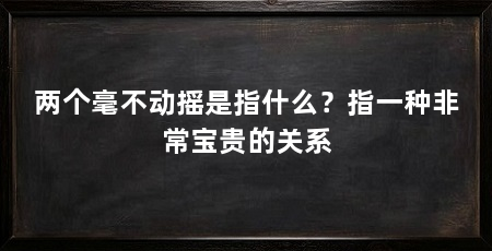 两个毫不动摇是指什么?指一种非常宝贵的关系