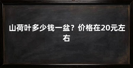 山荷叶多少钱一盆?价格在20元左右
