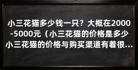 小三花猫多少钱一只?大概在2000-5000元(小三花猫的价格是多少小三花猫的价格与购买渠道有着很大的关系