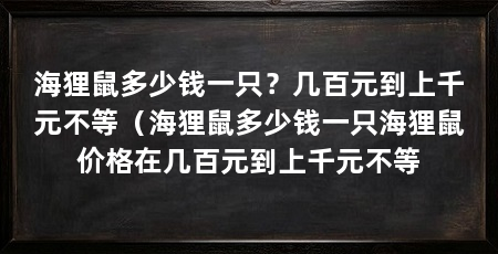 海狸鼠多少钱一只?几百元到上千元不等(海狸鼠多少钱一只海狸鼠价格在几百元到上千元不等