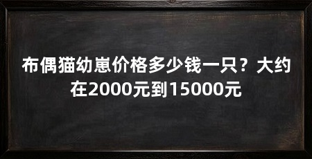 布偶猫幼崽价格多少钱一只?大约在2000元到15000元