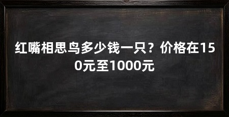 红嘴相思鸟多少钱一只?价格在150元至1000元