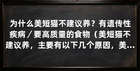 为什么美短猫不建议养？有遗传性疾病／要高质量的食物（美短猫不建议养，主要有以下几个原因，美短猫却不建议养