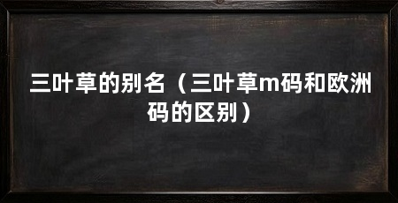 三叶草的别名(三叶草m码和欧洲码的区别)
