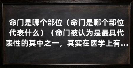 命门是哪个部位(命门是哪个部位代表什么)(命门被认为是最具代表性的其中之一,其实在医学上有比较明确的定义