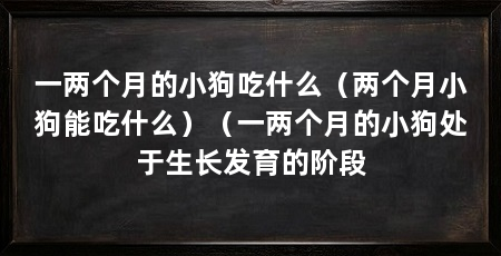 一两个月的小狗吃什么(两个月小狗能吃什么)(一两个月的小狗处于生长发育的阶段
