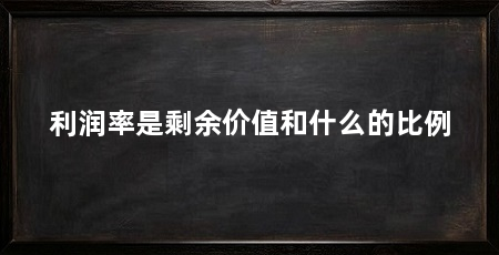 利润率是剩余价值和什么的比例