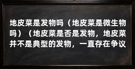 地皮菜是发物吗（地皮菜是微生物吗）（地皮菜是否是发物，地皮菜并不是典型的发物，一直存在争议