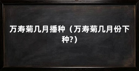 万寿菊几月播种（万寿菊几月份下种?）