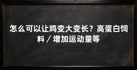 怎么可以让鸡变大变长？高蛋白饲料／增加运动量等