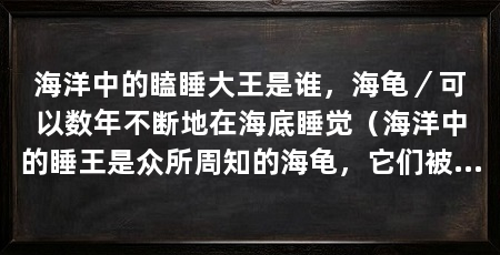 海洋中的瞌睡大王是谁,海龟/可以数年不断地在海底睡觉(海洋中的睡王是众所周知的海龟,它们被称为“睡王”