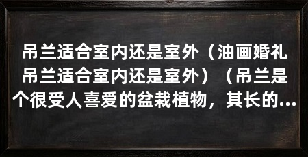 吊兰适合室内还是室外（油画婚礼吊兰适合室内还是室外）（吊兰是个很受人喜爱的盆栽植物，其长的叶子披散在空气中，美观极了
