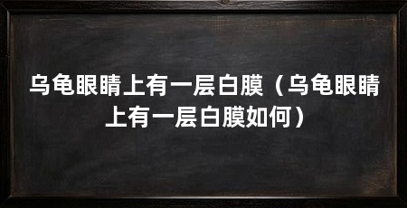 乌龟眼睛上有一层白膜(乌龟眼睛上有一层白膜如何)