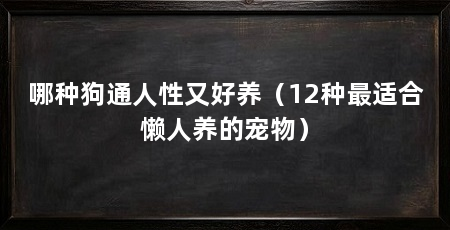 哪种狗通人性又好养（12种最适合懒人养的宠物）