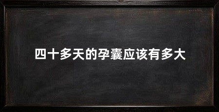 四十多天的孕囊应该有多大