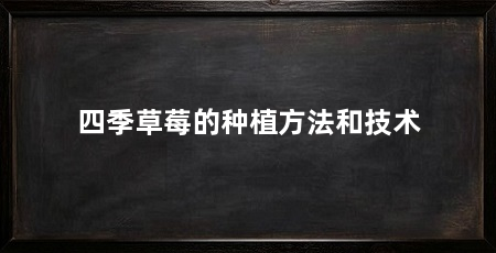 四季草莓的种植方法和技术