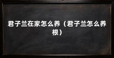 君子兰在家怎么养(君子兰怎么养根)