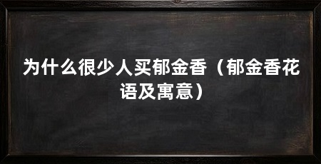 为什么很少人买郁金香(郁金香花语及寓意)