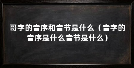 哥字的音序和音节是什么（音字的音序是什么音节是什么）