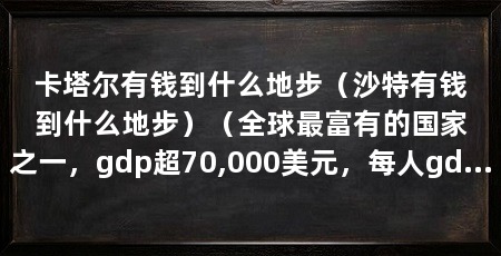 卡塔尔有钱到什么地步(沙特有钱到什么地步)(全球最富有的国家之一,gdp超70,000美元,每人gdp超70