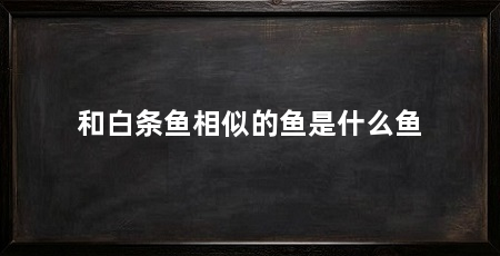 和白条鱼相似的鱼是什么鱼