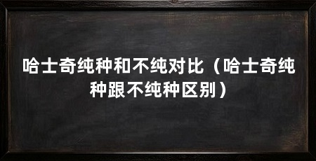 哈士奇纯种和不纯对比(哈士奇纯种跟不纯种区别)