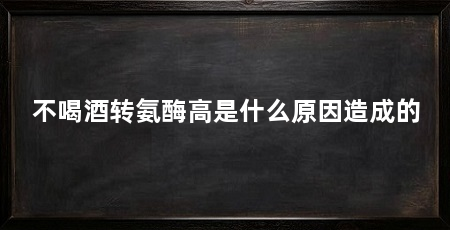 不喝酒转氨酶高是什么原因造成的