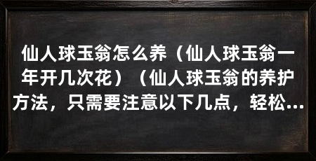 仙人球玉翁怎么养(仙人球玉翁一年开几次花)(仙人球玉翁的养护方法,只需要注意以下几点,轻松养护好它