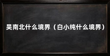 吴南北什么境界（白小纯什么境界）
