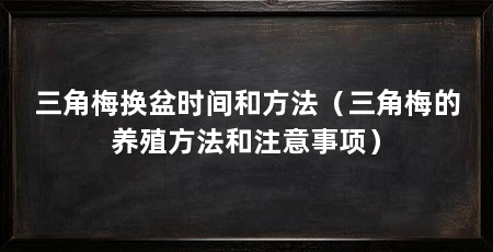 三角梅换盆时间和方法（三角梅的养殖方法和注意事项）