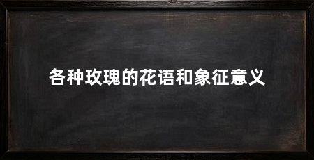 各种玫瑰的花语和象征意义