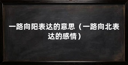 一路向阳表达的意思（一路向北表达的感情）
