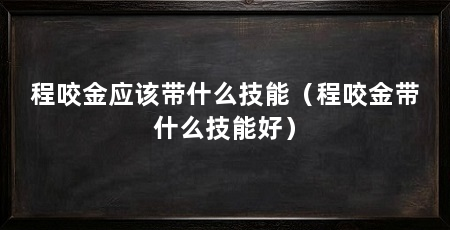 程咬金应该带什么技能（程咬金带什么技能好）