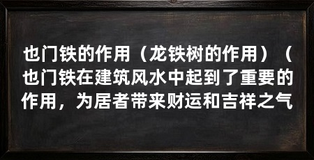 也门铁的作用(龙铁树的作用)(也门铁在建筑风水中起到了重要的作用,为居者带来财运和吉祥之气
