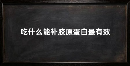 吃什么能补胶原蛋白最有效