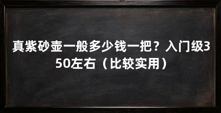 真紫砂壶一般多少钱一把？入门级350左右（比较实用）