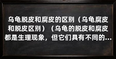 乌龟脱皮和腐皮的区别（乌龟腐皮和脱皮区别）（乌龟的脱皮和腐皮都是生理现象，但它们具有不同的作用和意义