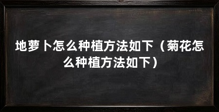 地萝卜怎么种植方法如下(菊花怎么种植方法如下)